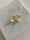 Shell Pearl Earrings